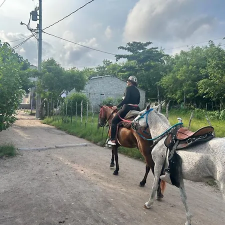 Nature Harmony Retreat In Tierra Bomba - Your Sustainable Escape 01 *