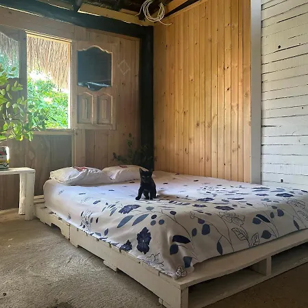 Nature Harmony Retreat In Tierra Bomba - Your Sustainable Escape 01 Cartagena